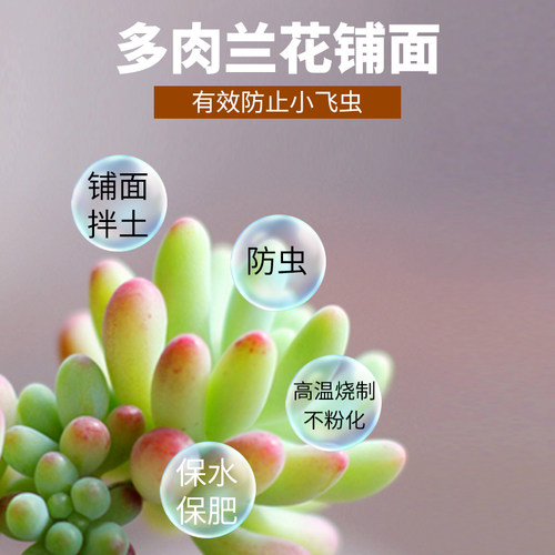 硅藻土颗粒种植拌土铺面垫底物理杀虫种植介质君子兰种植多肉颗粒 - 图1