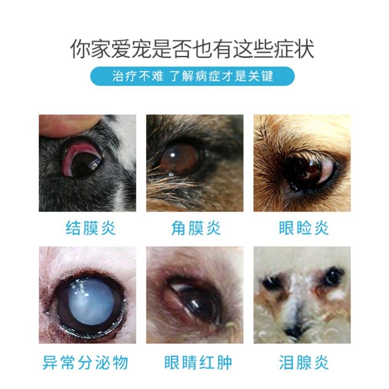 猫咪眼睛发炎流泪眼药水硫酸新霉素滴眼液狗发炎泪痕结膜炎眼屎多,淘宝优惠券,粉丝福利购,淘宝优惠卷