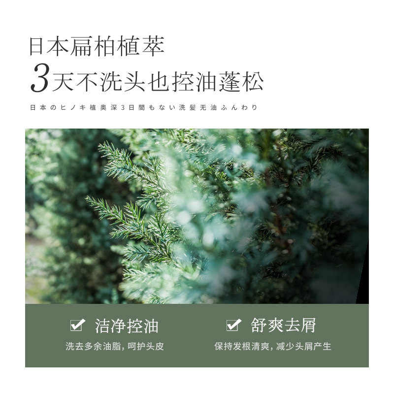 浅香日本扁柏氨基酸控油去屑洗发乳 浅香洗发水