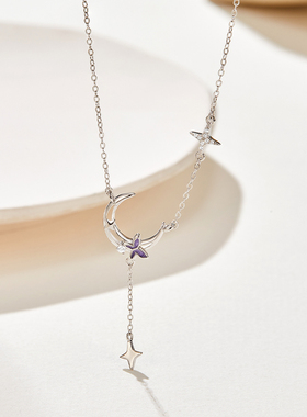 SD星河闪耀S925银项链女
