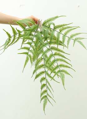4-19灵彩仿真植物苔藓绿植