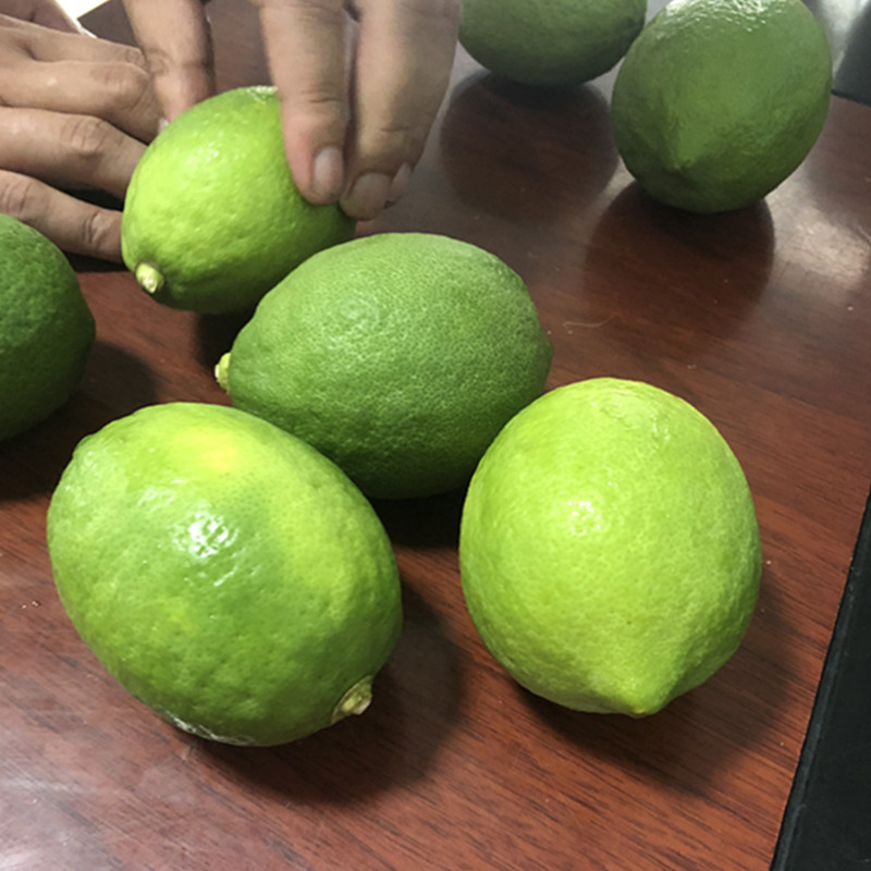 柠乡人旗舰店新鲜青柠檬5斤装皮薄多汁应季水果现摘现发2