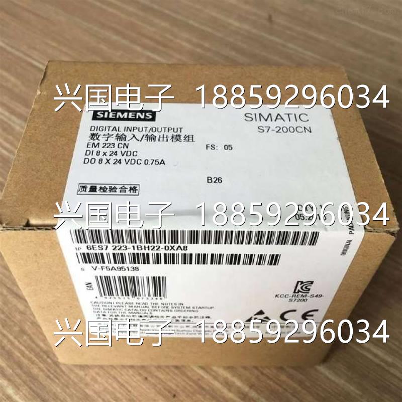 西门子6E723-1BH22-20A824VDC数字量模块EM223S7-S20X0CNCPU0.95-图0