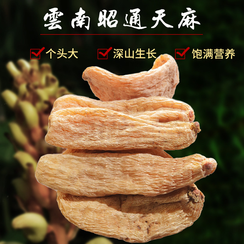 野生云南昭通干货500g特级新鲜天麻 谯祖堂天麻