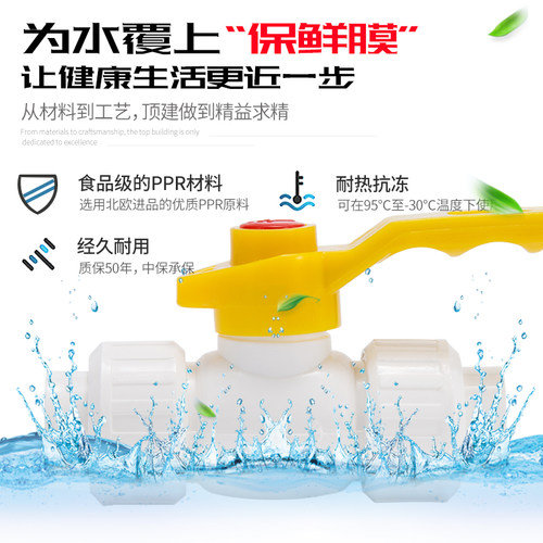 顶建双活接全塑球阀加厚20 25 32 40 50PPR水管配件自来水管阀门 - 图3