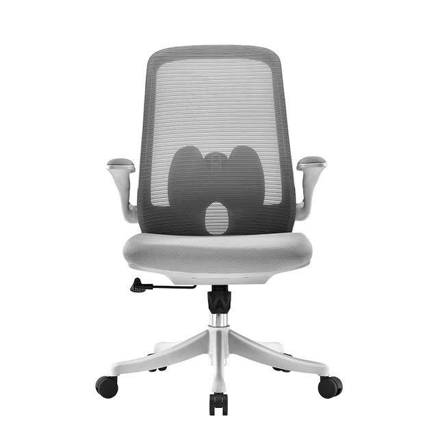 山姆代购 ACER墩墩电脑办公椅 简约升降现代办公室学生转椅升降椅 - 图3