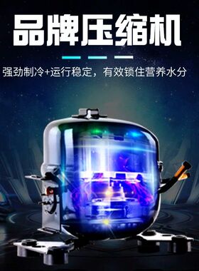 中雪风冷无霜展示柜玻璃门冰柜冷藏保鲜双门商用立式冷柜啤酒饮料