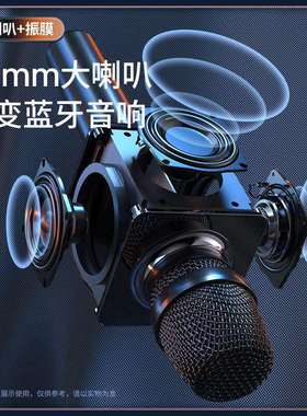 纽曼即插即用K歌麦克风车载音响款麦克风双麦Newmine）MC66