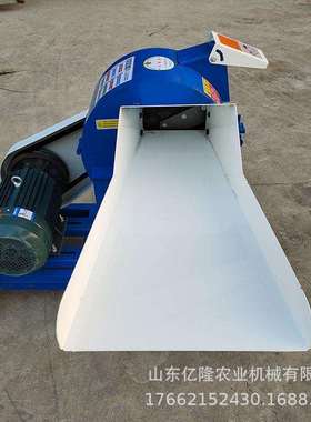 广东小型养殖猪羊揉丝机皇竹草香草粉碎打浆机超细牧草打浆机