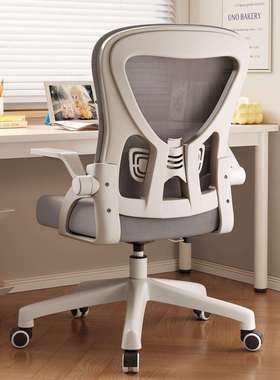 人体工学椅家用办公椅学习椅电脑椅舒适久坐职员宿舍椅子矫正坐姿