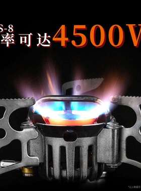 兄弟捷登BRS-8户外油气两用炉野外便携分体式油炉自驾摩旅汽油炉