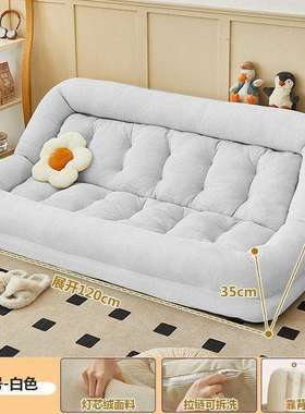 懒人沙发可躺可睡单双人类狗窝榻榻米沙发床巨大阳台卧室折叠躺椅