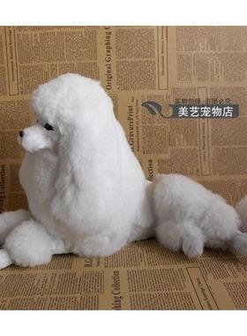 仿真贵宾犬贵妇犬仿真狗工艺品摆件玩偶毛绒玩具仿真动物模型