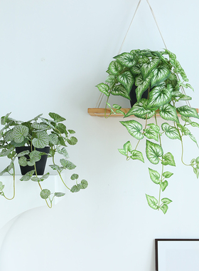 泰环仿真藤蔓植物盆栽摆件