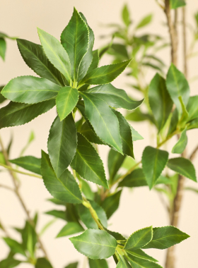 高品质马醉木仿真植物盆栽