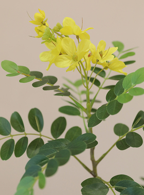 泰环黄槐花仿真花客厅插花瓶装饰