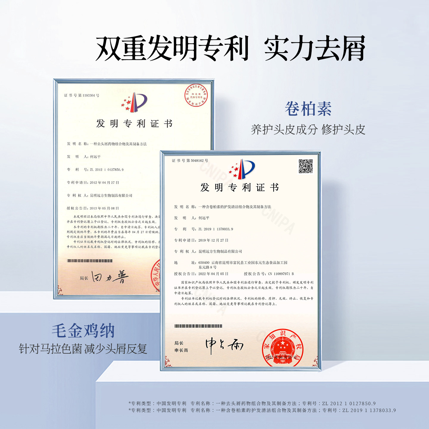 【520礼遇】去屑止痒氨基酸控油养护头皮洗发水男女洗发露