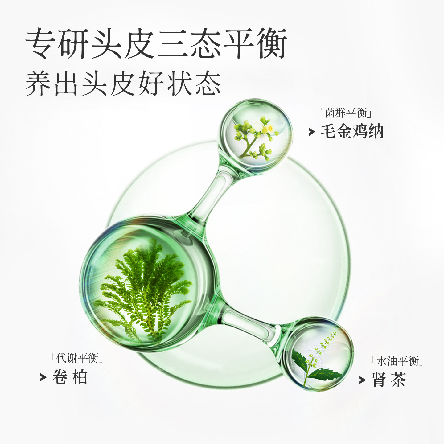 舒霖控油蓬松洗发水护发士洗头膏舒缓清爽油扁塌挚爱,淘宝优惠券,粉丝福利购,淘宝优惠卷