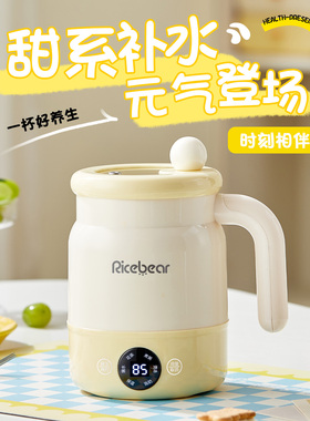 多功能养生壶小型一人炖煮一体烧花茶电热水壶女生日礼物闺蜜实用