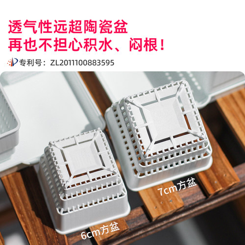 美莳种多肉植物的花盆组合塑料创意精致小白方带托盘一体控根专用 - 图1