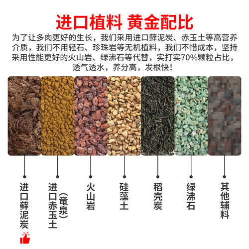 美莳多肉专用颗粒土植物小苗叶插营养进口泥炭赤玉土铺面石通用型 - 图1