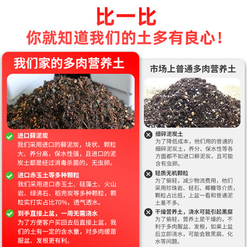 美莳多肉专用颗粒土植物小苗叶插营养进口泥炭赤玉土铺面石通用型 - 图0