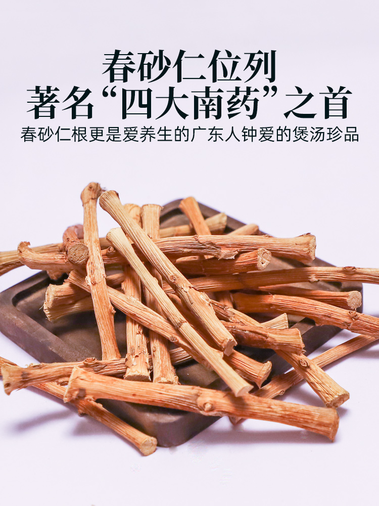 春砂仁根中药材正宗阳春特产广东煲汤泡茶砂仁根干新鲜春沙仁干根 - 图0