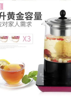 多功能全自动煮茶器安化黑茶电热玻璃蒸汽花茶普洱养生壶新款