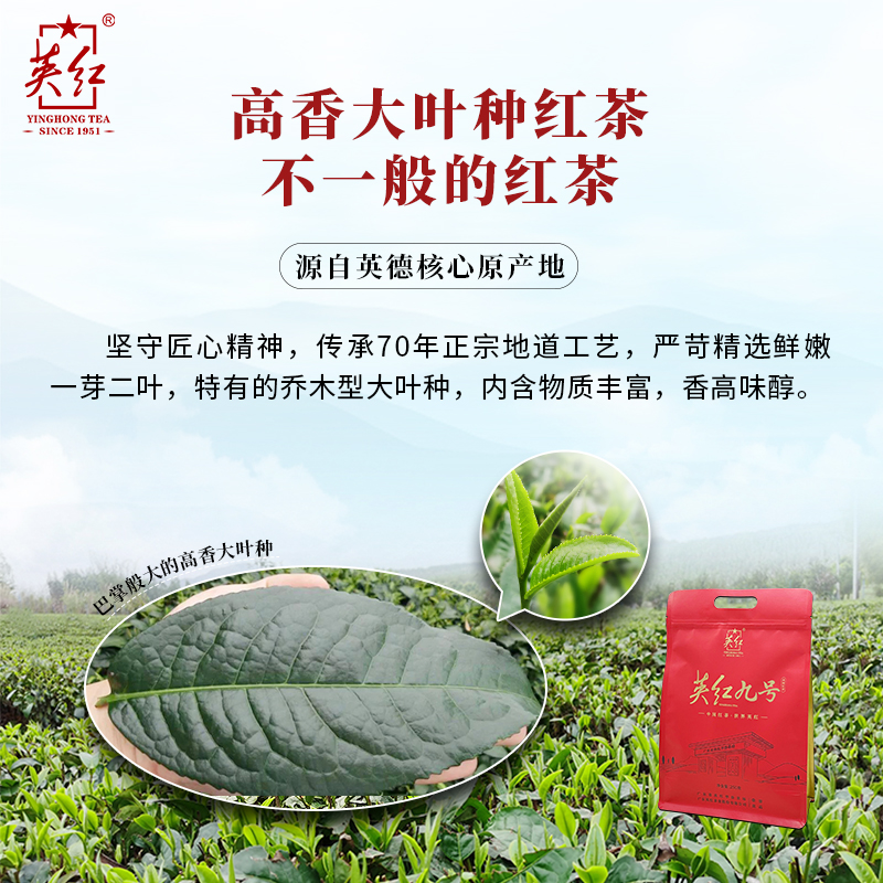 【英红牌】正宗英德红茶双袋共500g英红九号红茶 浓香型口粮茶