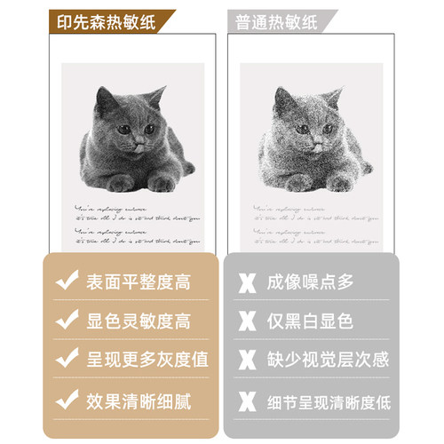 【全机型打印纸】印先森官方打印纸10年20年白色不干胶打印纸官方10年普通纸彩色热敏纸热敏打印纸 - 图2