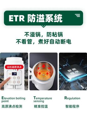 一人小炖锅煮粥神器隔水炖盅宝宝煲汤专用锅家用全自动旅行便携壶