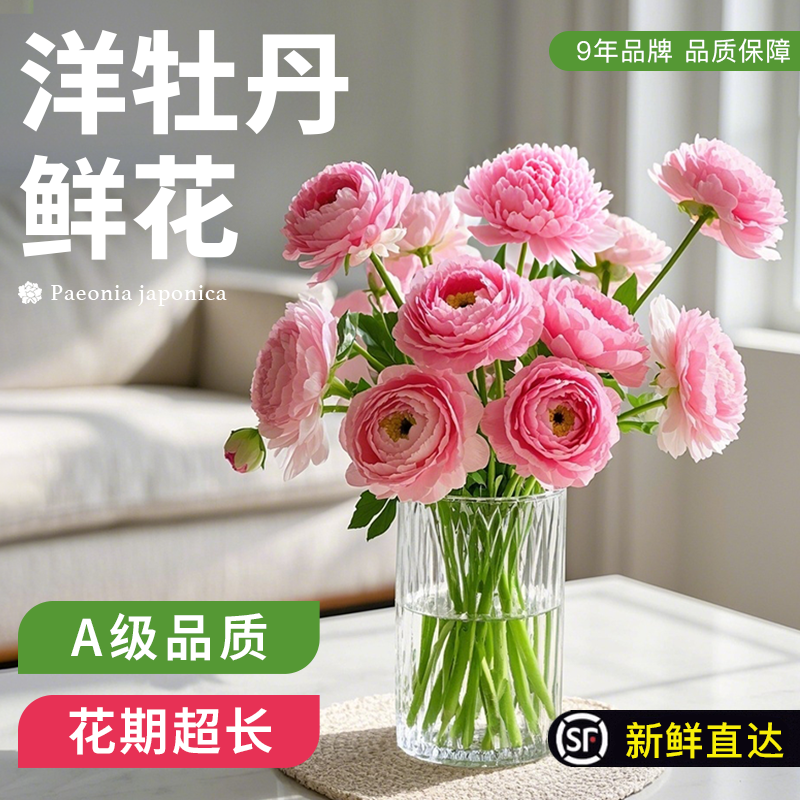 花叶春蝴蝶洋牡丹鲜花速递云南昆明办公室插花水养真花培鲜切花,淘宝优惠券,粉丝福利购,淘宝优惠卷