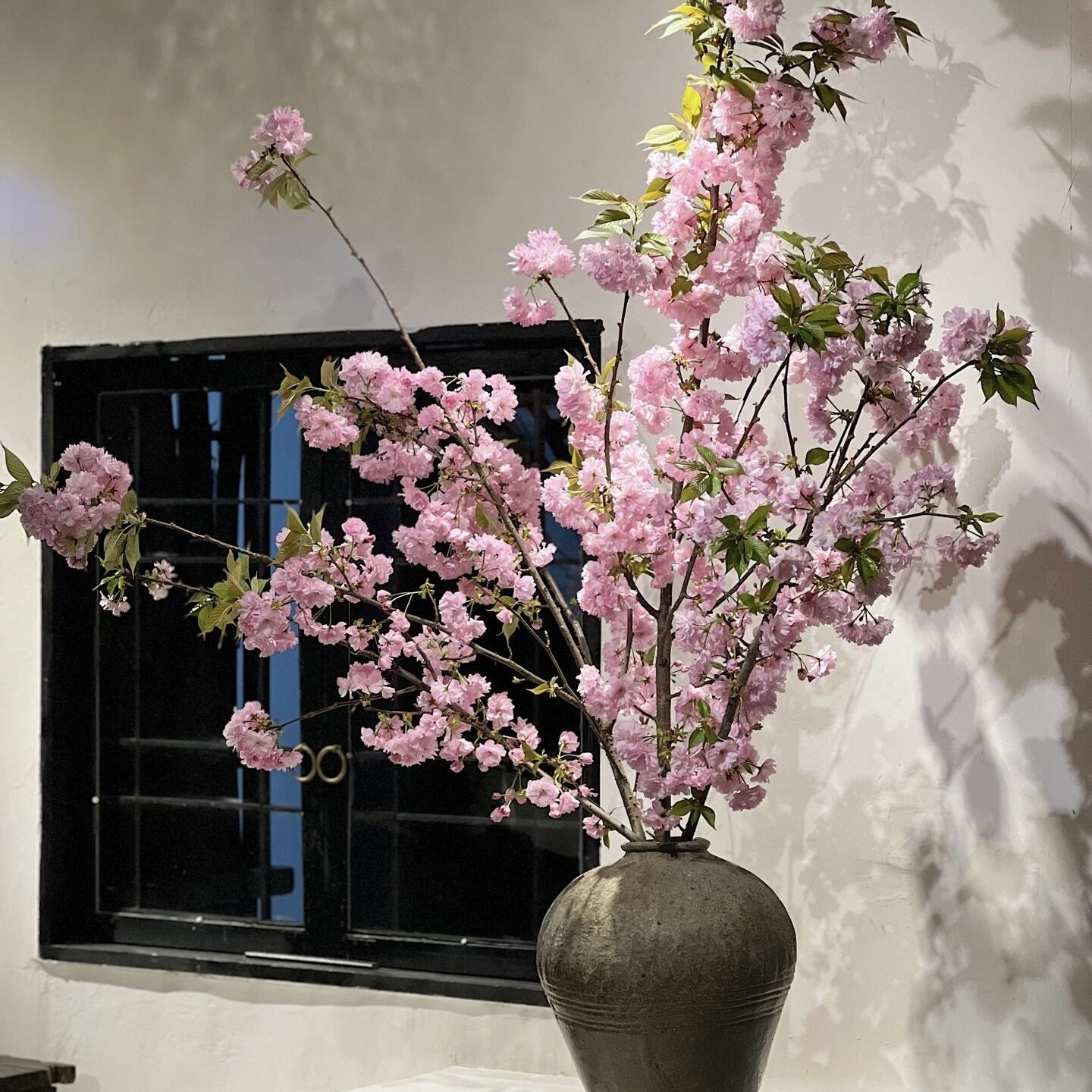 花叶春粉色樱花鲜枝水培桃花干枝珍珠李鲜花室内客厅观赏年宵花,淘宝优惠券,粉丝福利购,淘宝优惠卷