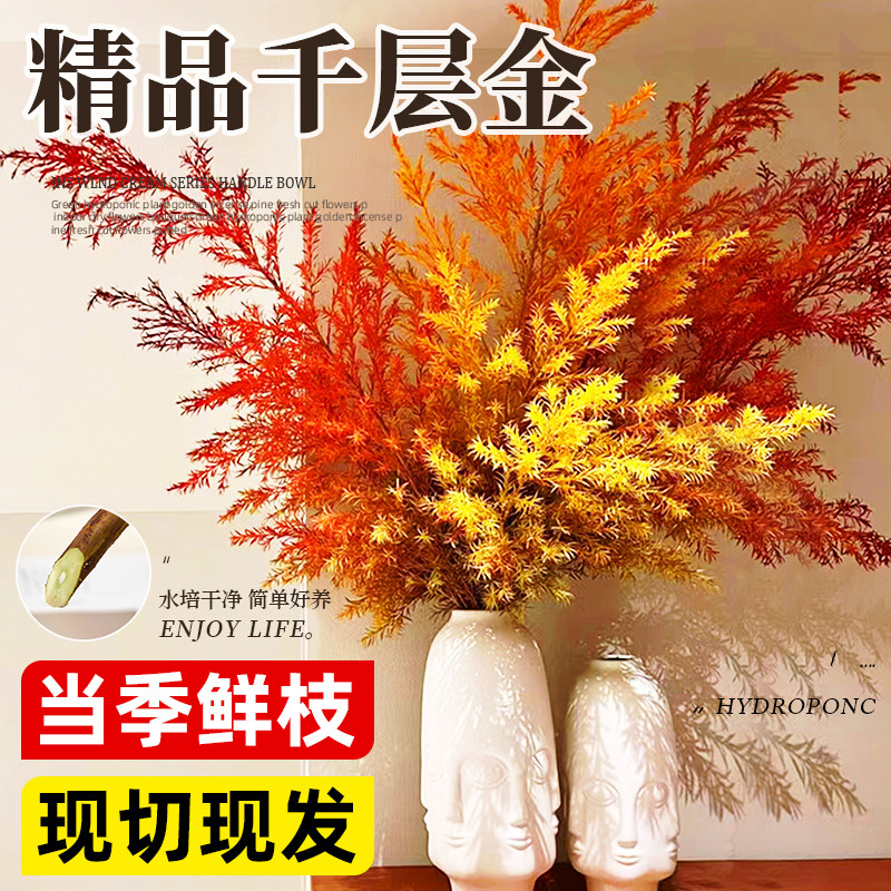 千层金鲜花桌面水培绿植黄金香柳花束鲜切花卉室内客厅插花永生花,淘宝优惠券,粉丝福利购,淘宝优惠卷
