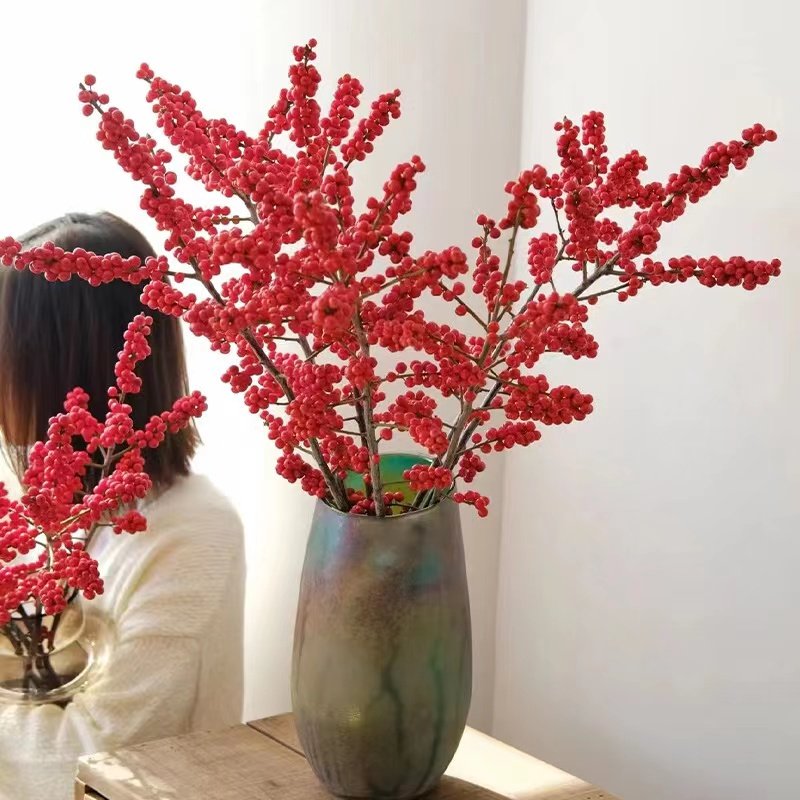 北美冬青红果鲜枝银柳年宵花卉绿植室内水培植物鲜花切枝盆栽真花,淘宝优惠券,粉丝福利购,淘宝优惠卷