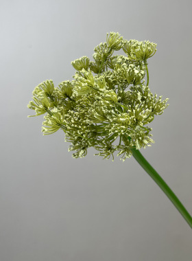 仿真蒲公英葱球花现代简