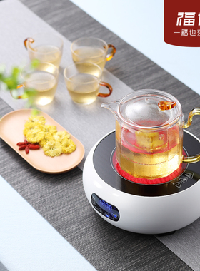 福也电陶炉煮茶器小型蒸汽全自动
