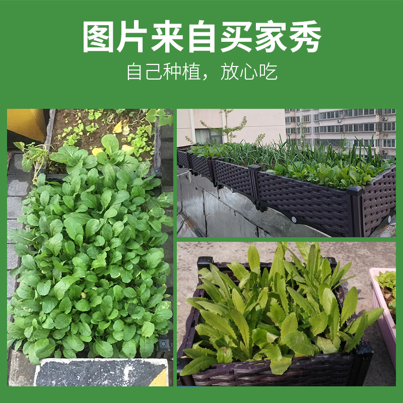 加宽种植箱家庭阳台种菜专用神器塑料楼顶花盆户外特大长方形花箱 - 图1