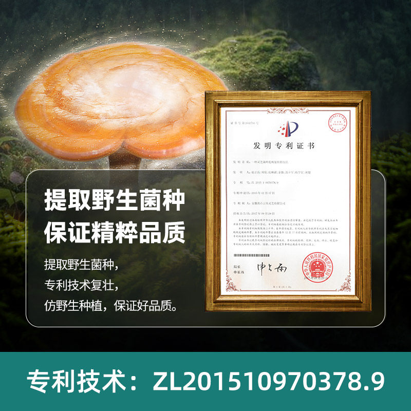 莱特维健破壁灵芝孢子粉官方旗舰店正品原装进口林芝滋补胶囊60粒
