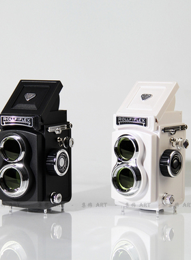 摄影主题简约现代风双反相机模型