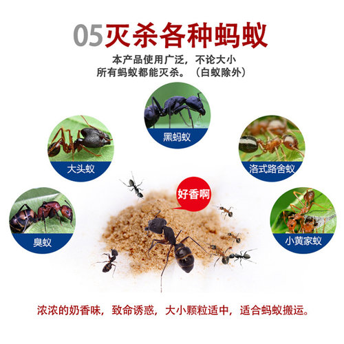 除灭蚂蚁药家用室内厨房端非无毒全窝治杀红黄黑防灭蚁清一窝神器 - 图1