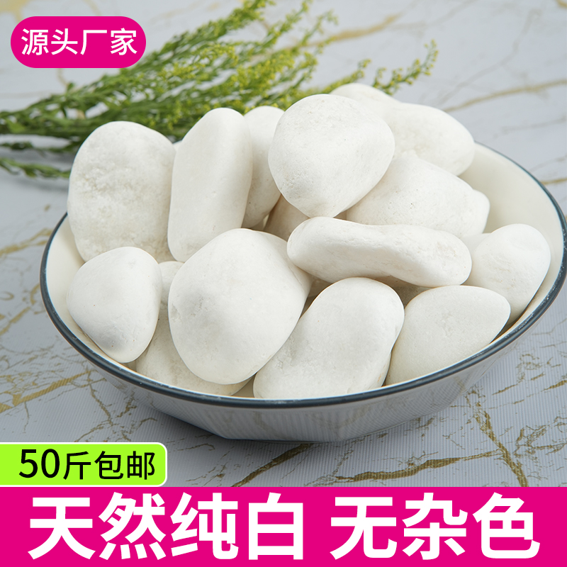 庭院白石子造景天然砾石颗粒装饰花园小石头抛光暖白色鹅卵石铺地 - 图1