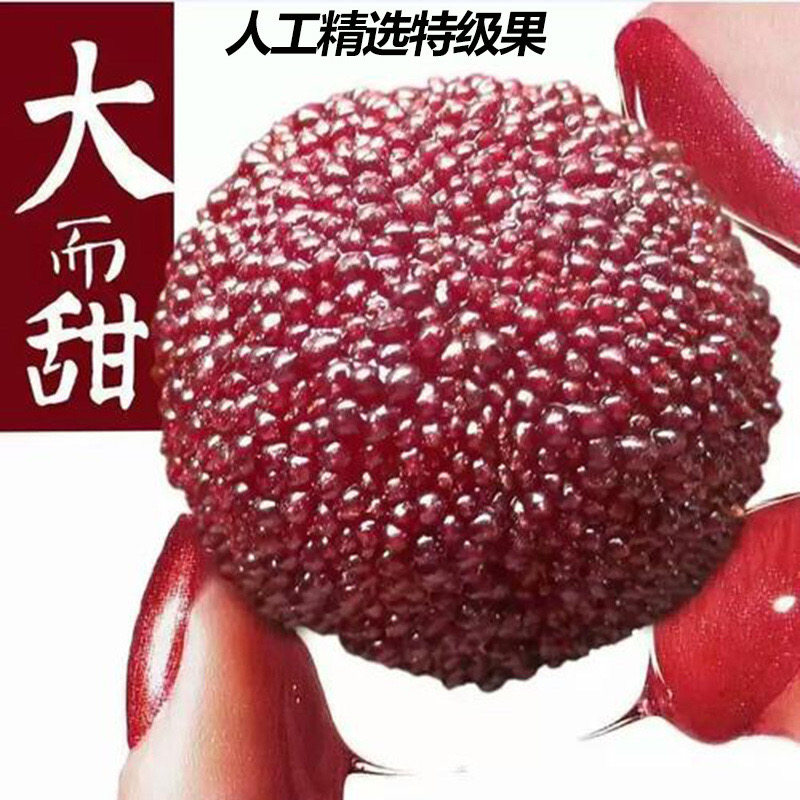 新鲜东魁大冰杨梅杨冷冻冰冻速冻杨梅泡酒仙居孕妇水果冷链包邮,淘宝优惠券,粉丝福利购,淘宝优惠卷