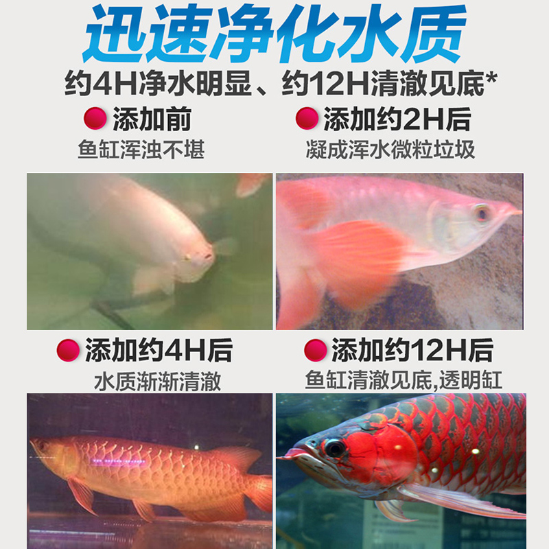 硝化细菌鱼缸用专用净水剂消化水族硝化活菌水质净化稳定剂鱼池用 - 图2