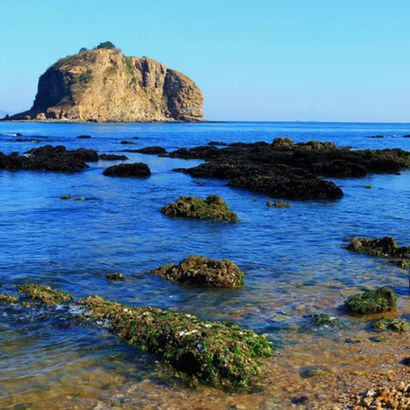 大连金石滩八大景点 出海钓鱼喂海鸥 快艇海上观光赶海纯玩一日游 - 图0