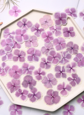 孔雀绣球蓝色干花压花花瓣妆粉色植物标本书签押花画相框DIY材料
