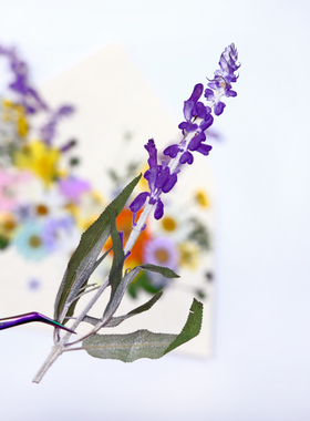 一串紫干花压花紫色鼠尾草春日来信手工信封书签相框标本材料DIY
