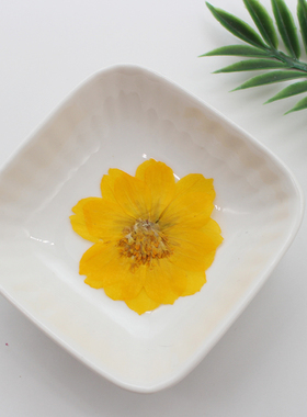波斯菊干花压花手工相框diy