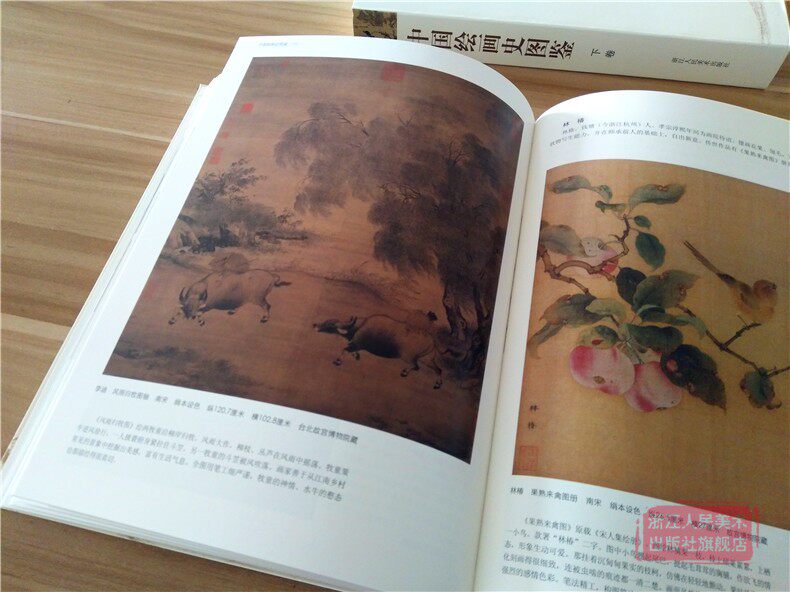 中国绘画史图鉴上下卷 1000幅高清图 中国美术通史图录全集 古代宋元明清朝山水花鸟人物画书画作品临摹鉴赏名家国画技法教程书籍