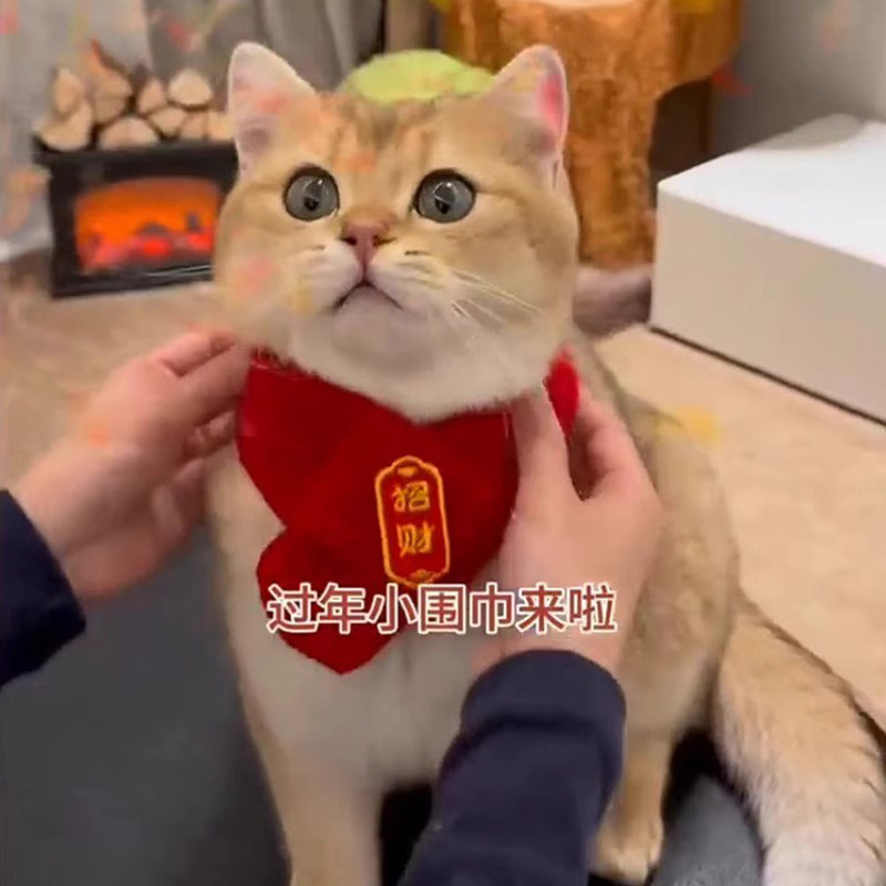 喜庆猫咪狗狗围脖新年宠物配饰装饰围巾红色可爱毛线保暖针织小狗,淘宝优惠券,粉丝福利购,淘宝优惠卷